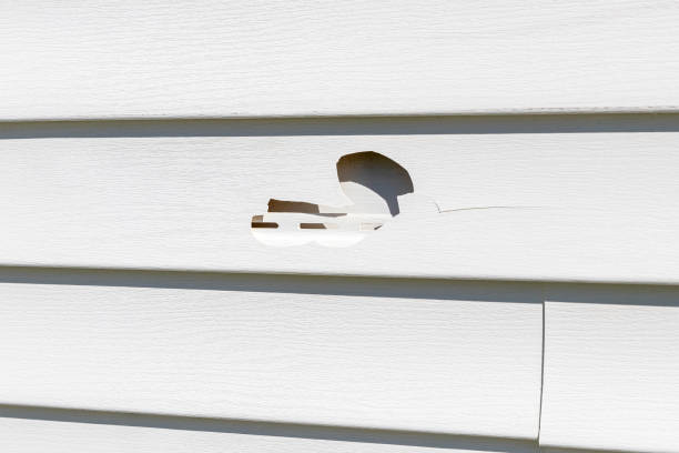 Reliable Fairmont City, IL Junk Removal Solutions